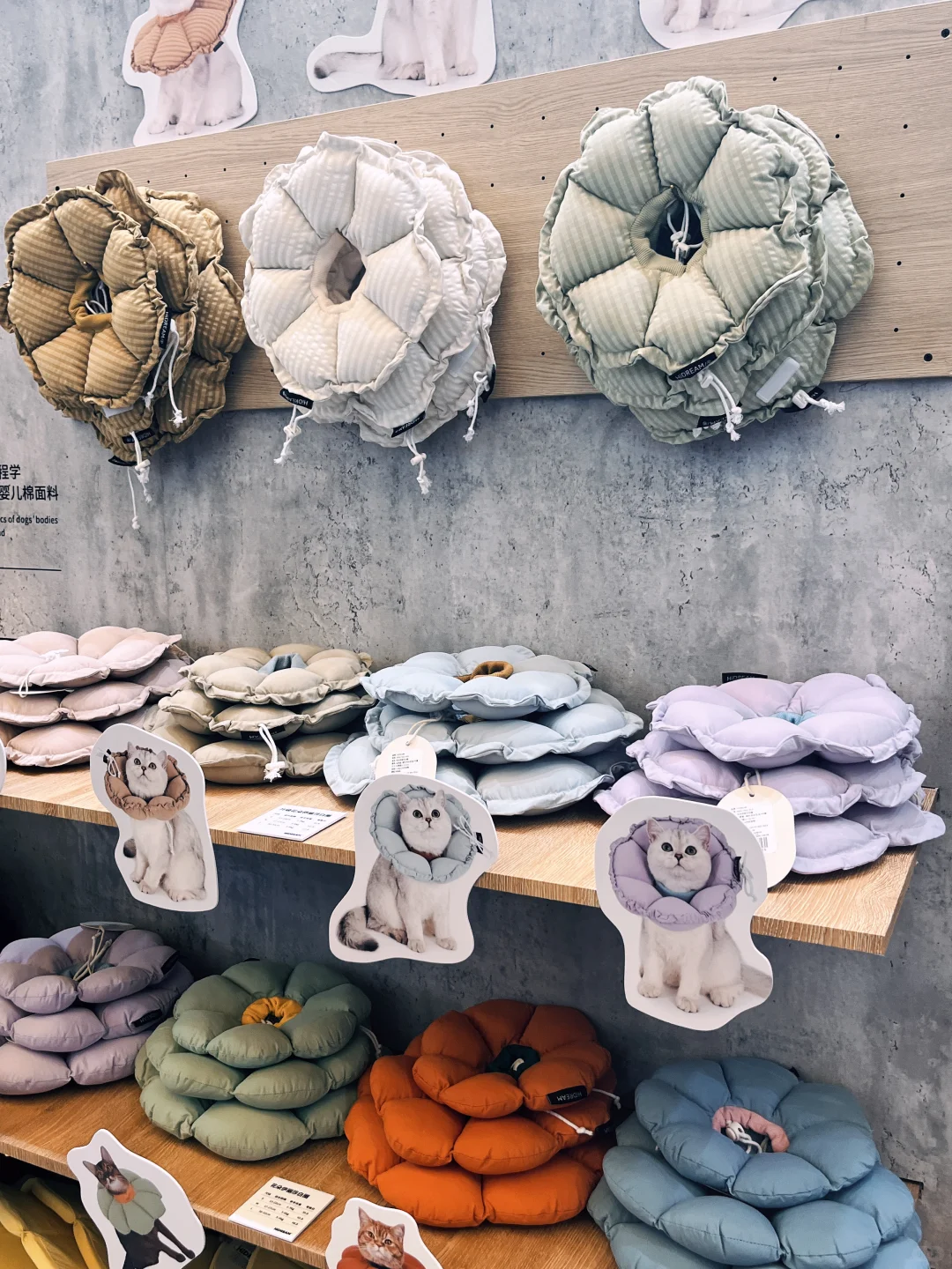 宠物用品工厂来亚宠展啦?