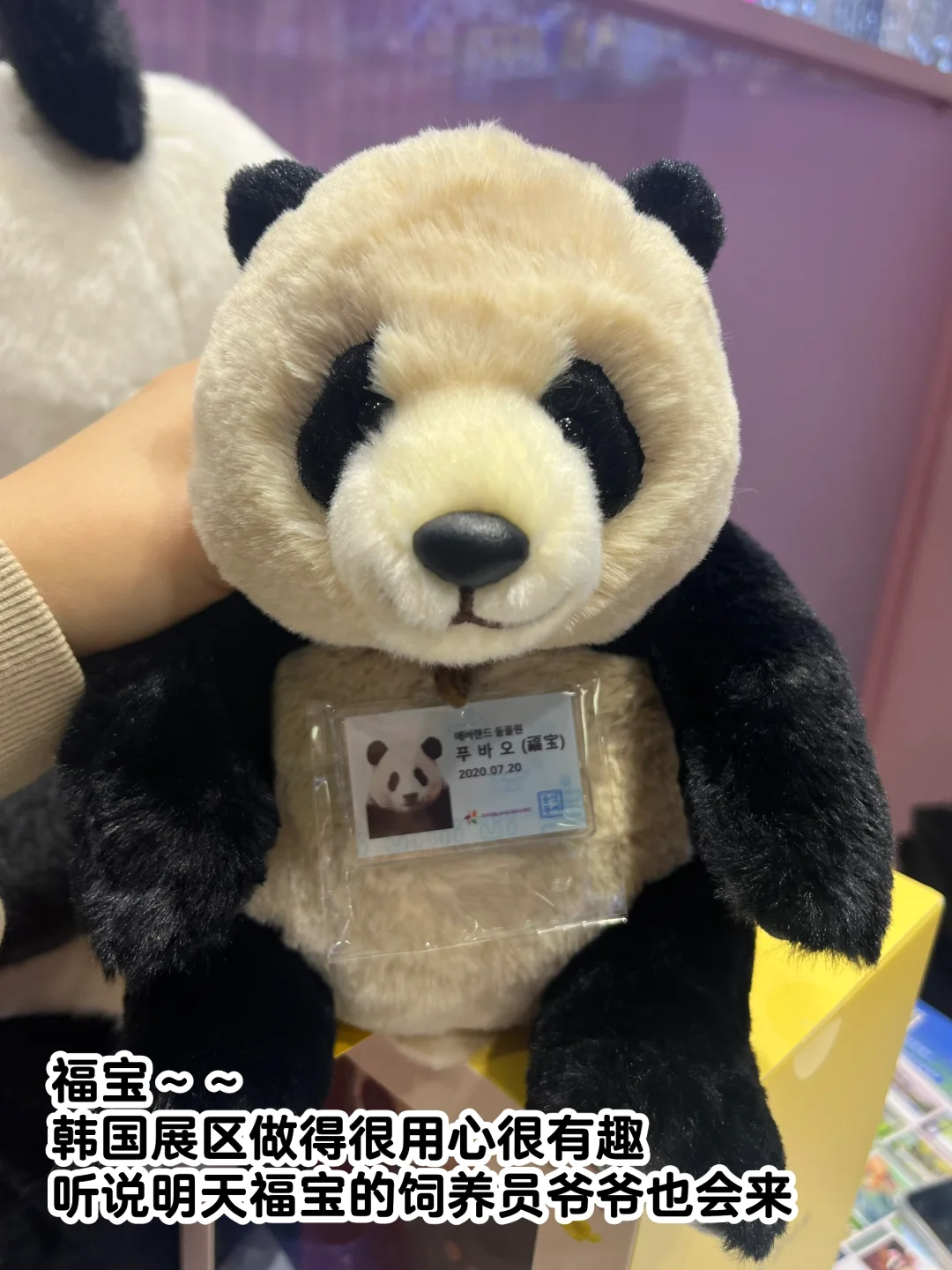 今天去逛旅游交易会啦！