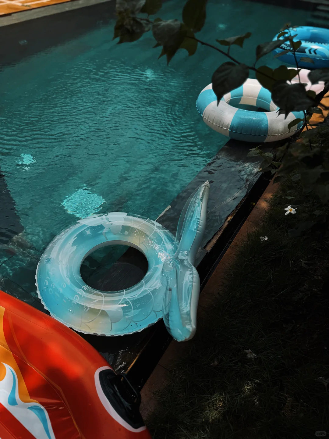 夏天就要穿衣自由???喜欢自己的身体?