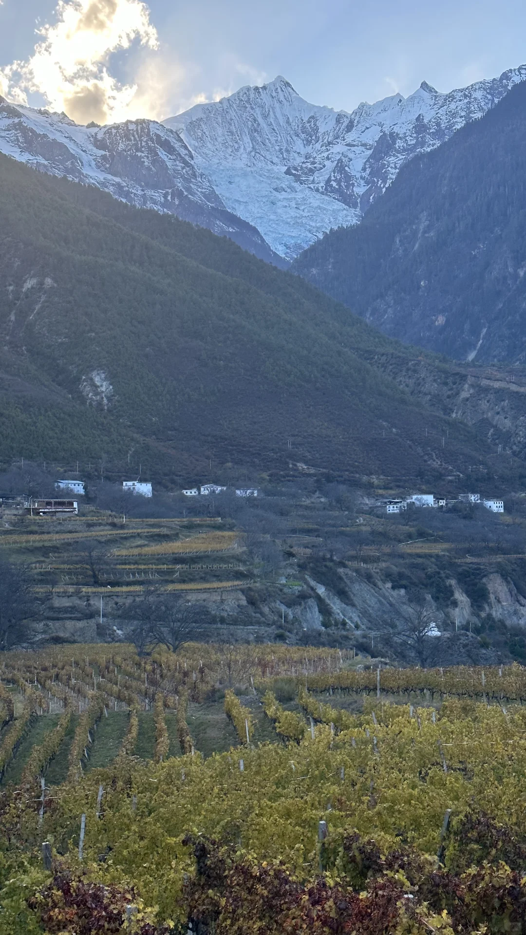 2025第三届梅里雪山国际葡萄酒推介会