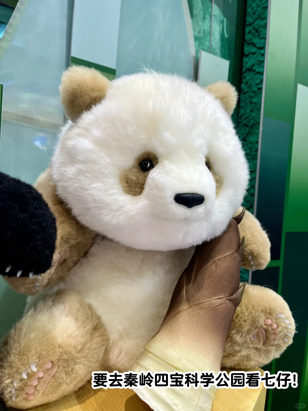 今天去逛旅游交易会啦！