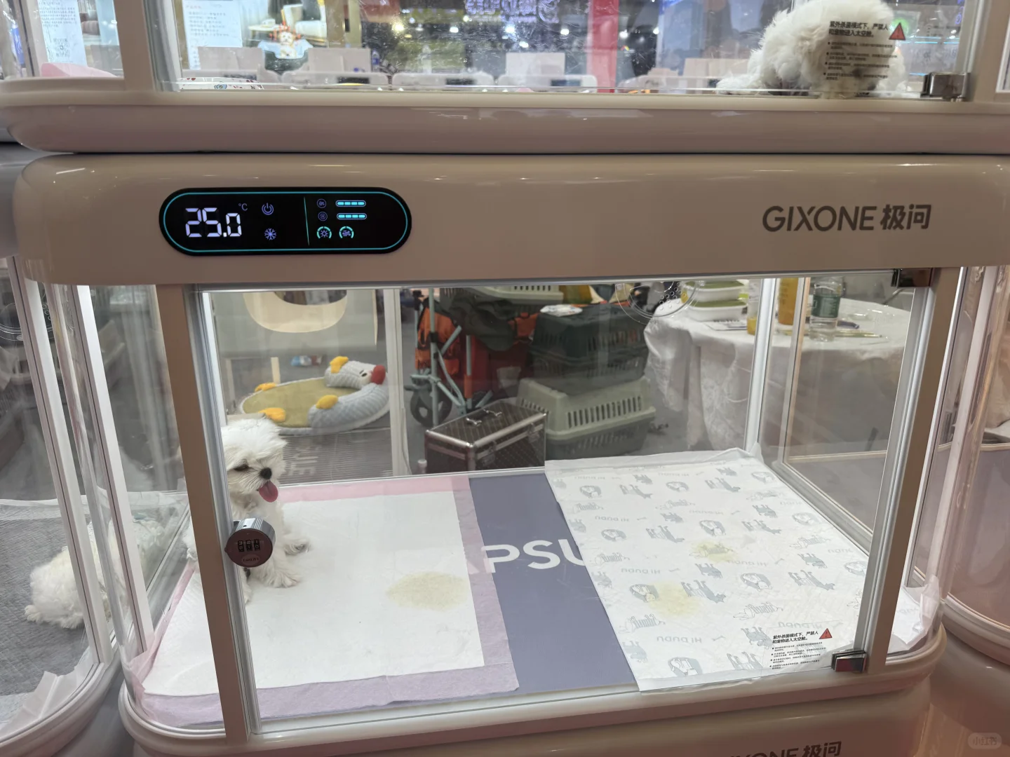 亚宠展虐宠！！！该品牌也要避雷！！