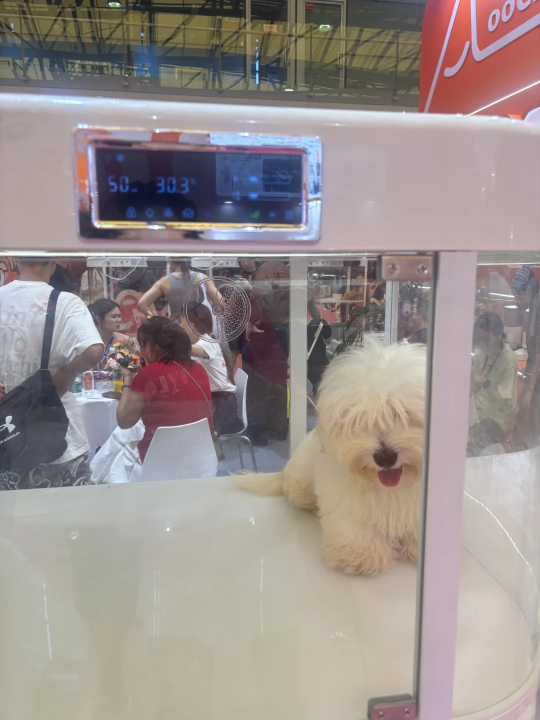 亚宠展主办方虐宠！！！