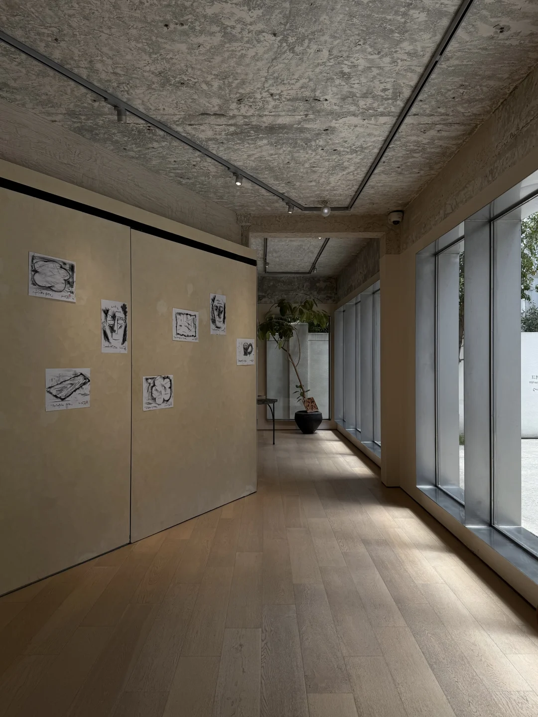 在美丽空间里看两个新展