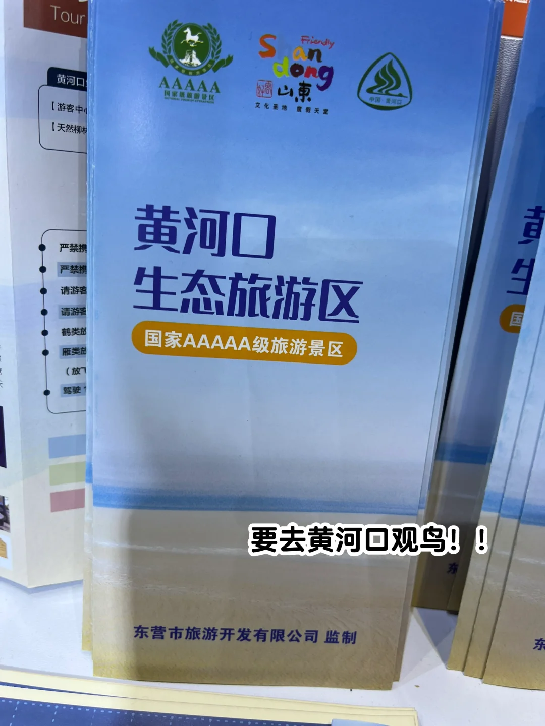 今天去逛旅游交易会啦！