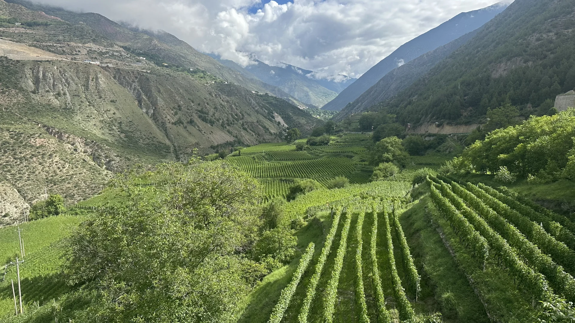 2025第三届梅里雪山国际葡萄酒推介会