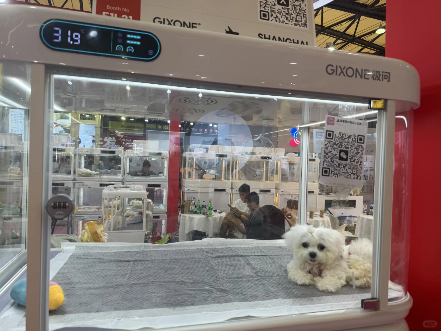 亚宠展虐宠！！！该品牌也要避雷！！