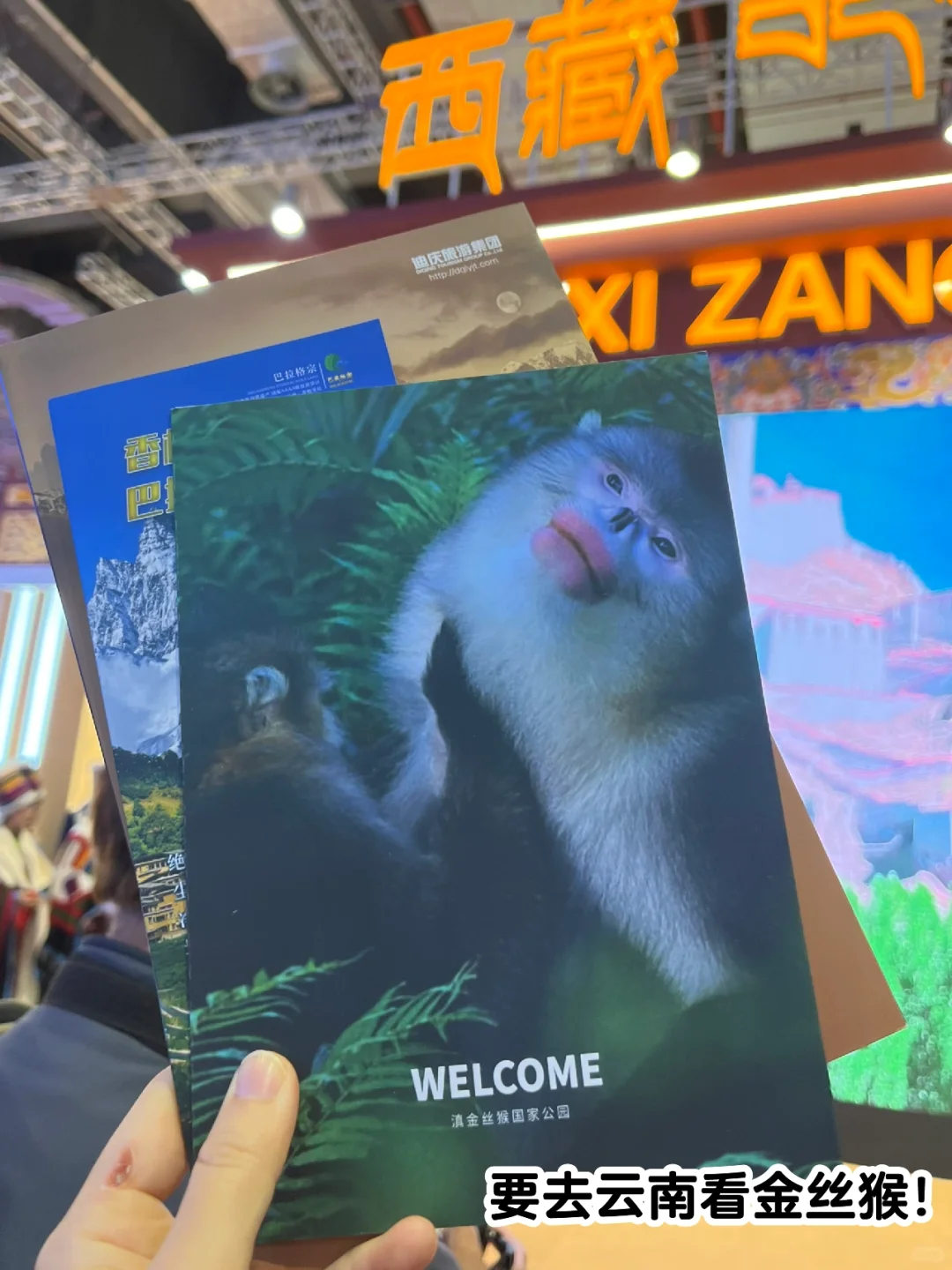 今天去逛旅游交易会啦！