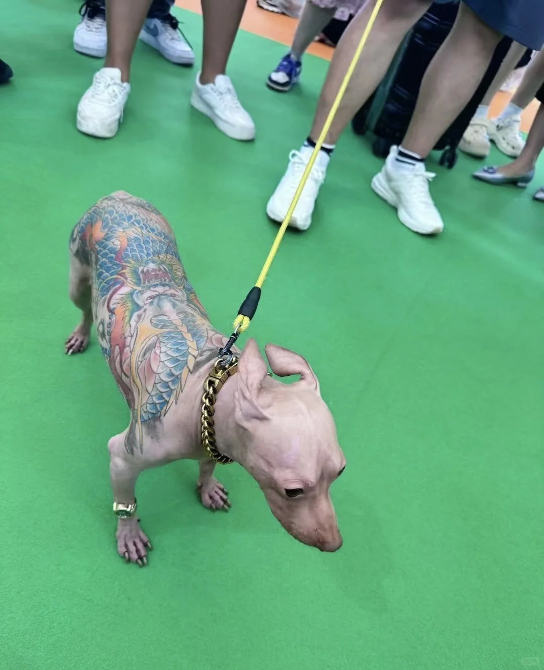 我能为你做点什么？