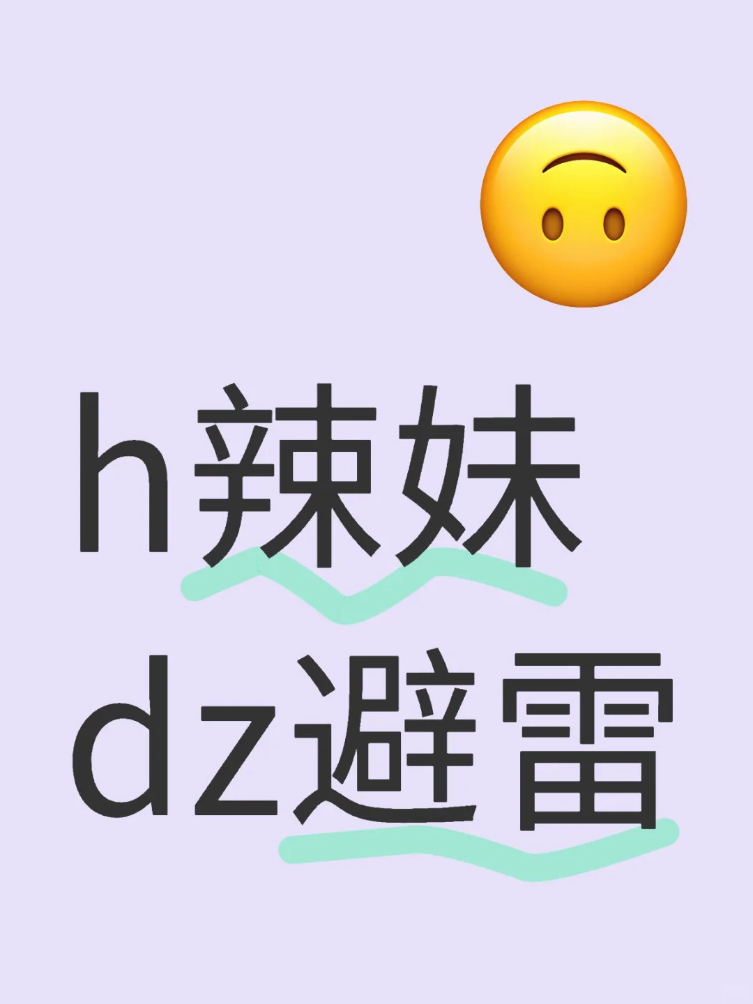 h辣妹dz避雷
