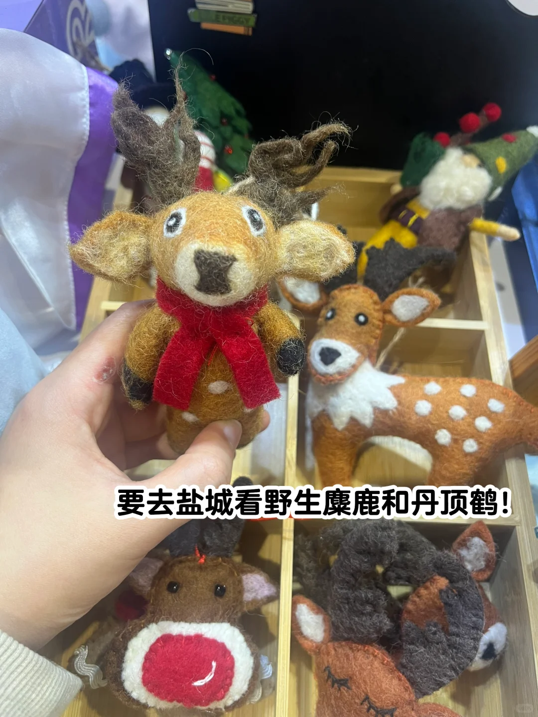 今天去逛旅游交易会啦！