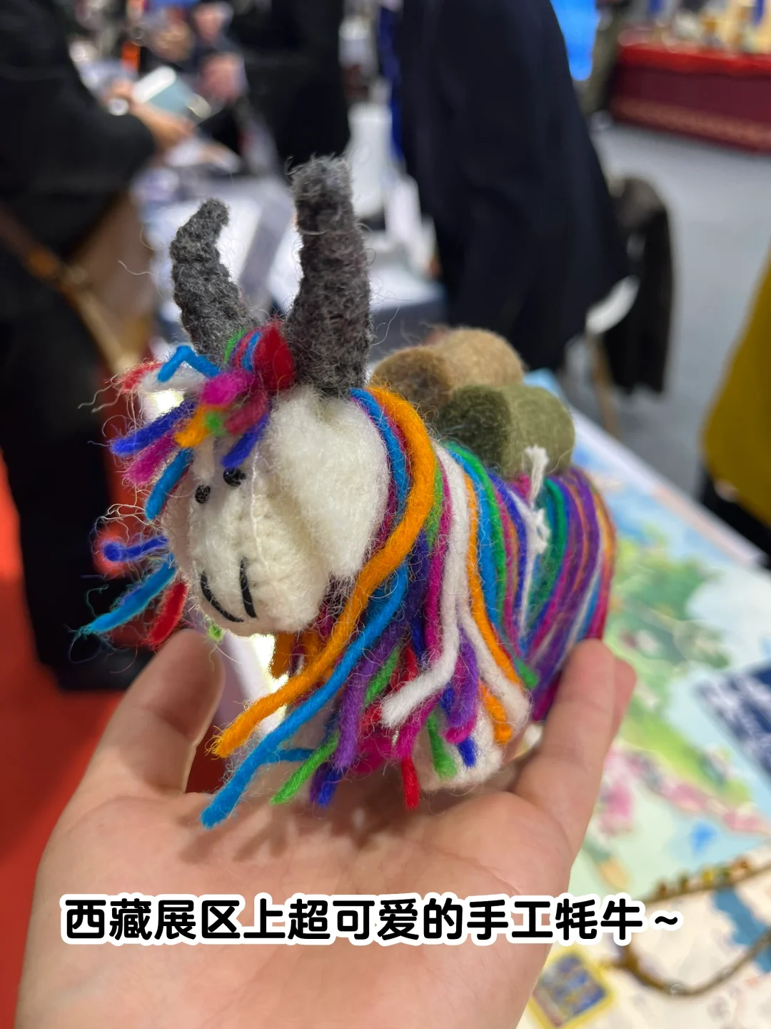 今天去逛旅游交易会啦！