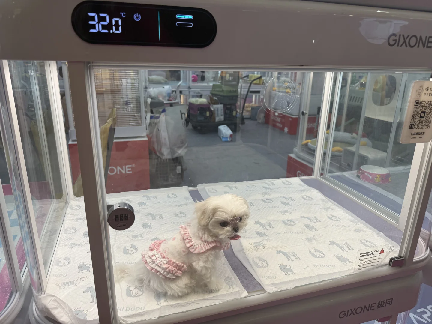 亚宠展虐宠！！！该品牌也要避雷！！