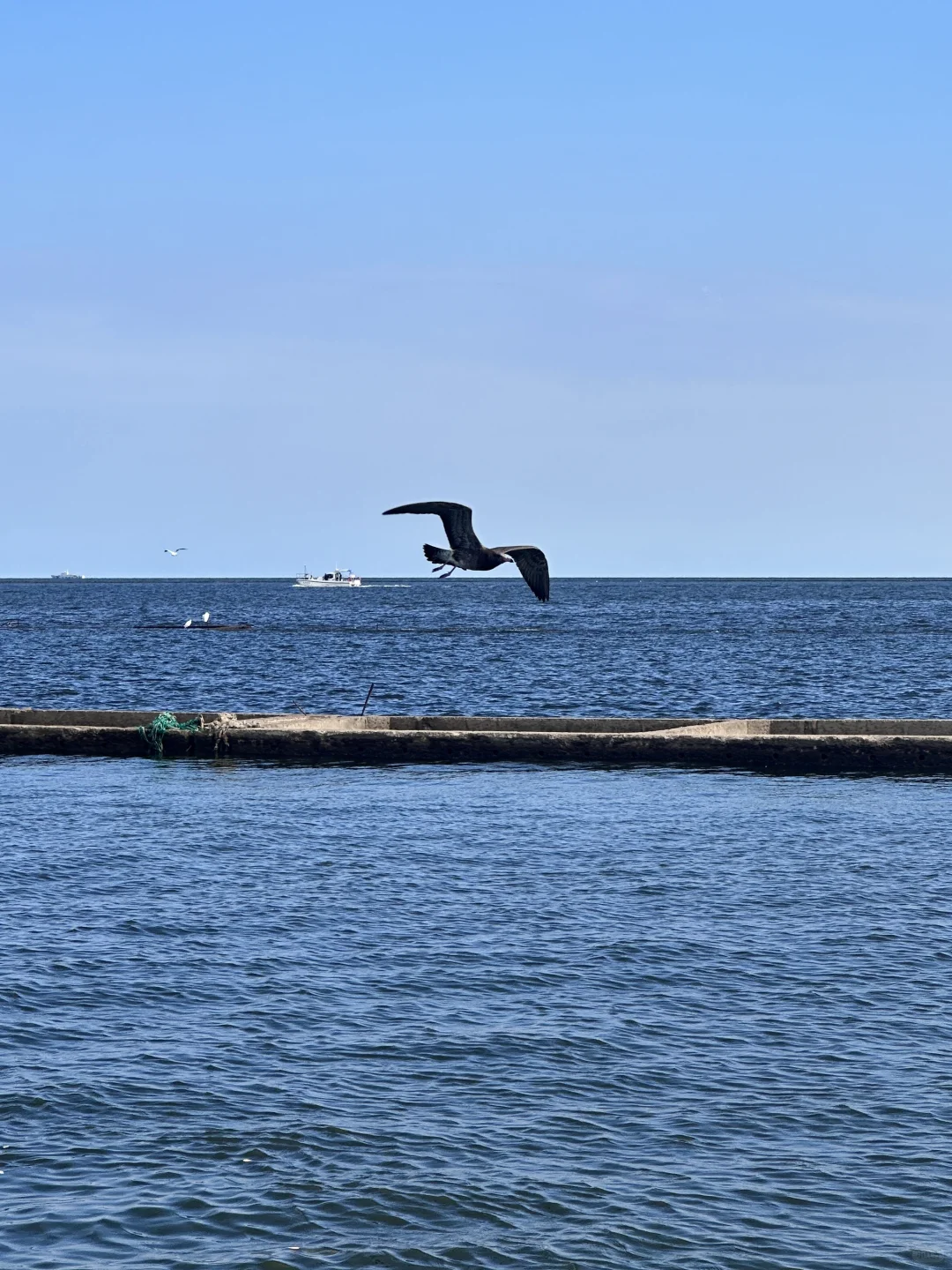 ???? ????? ??? 秦皇岛