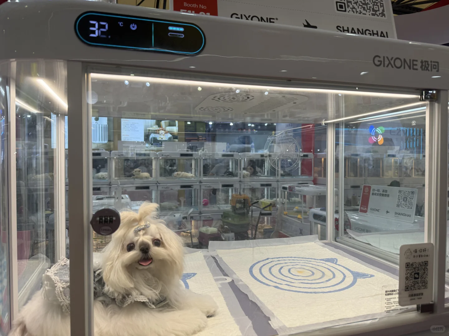 亚宠展虐宠！！！该品牌也要避雷！！