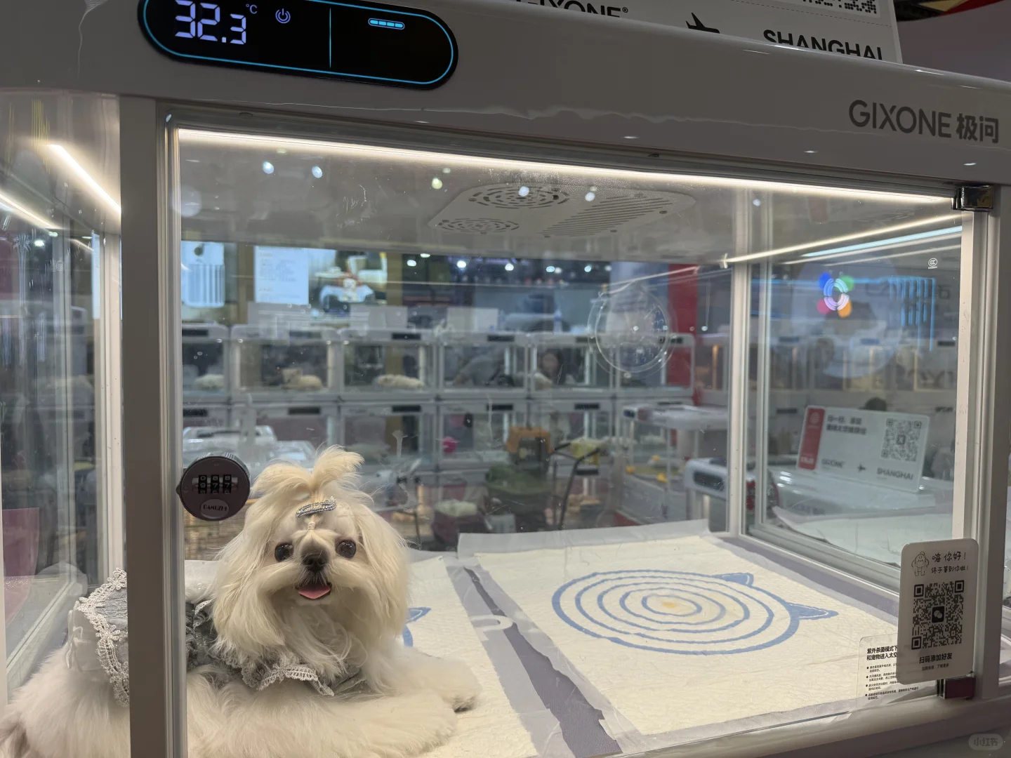 亚宠展虐宠！！！该品牌也要避雷！！