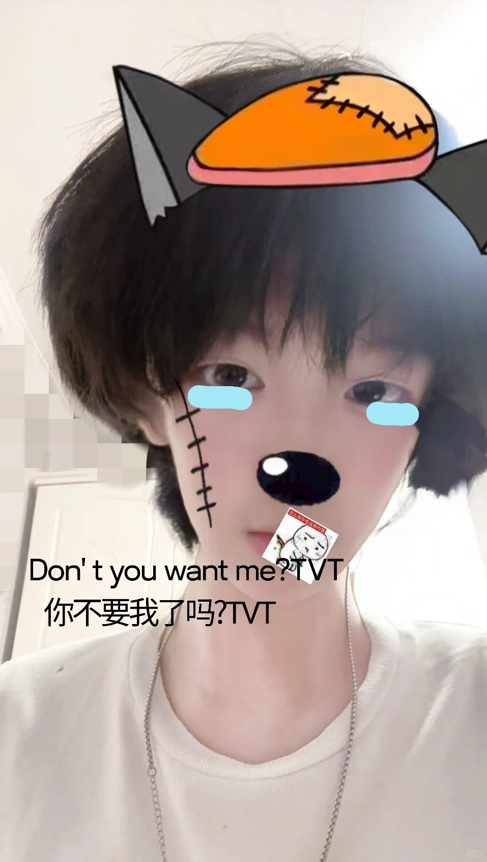 你不要我了吗？TVT