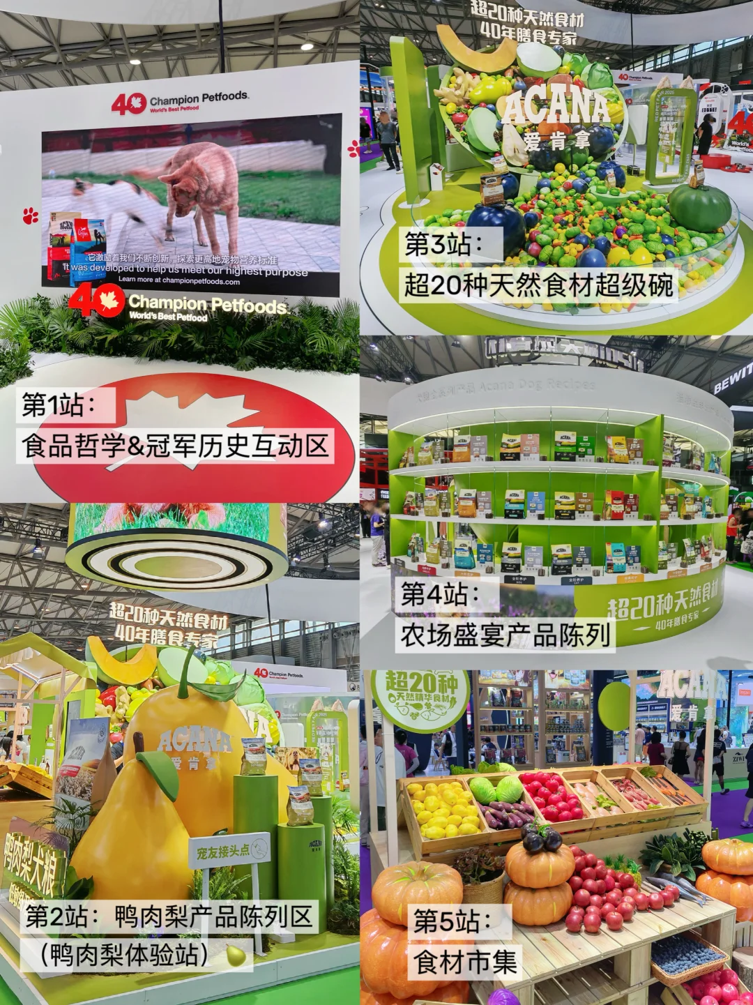 亚宠展?爱肯拿展位｜打卡薅羊毛超全指南