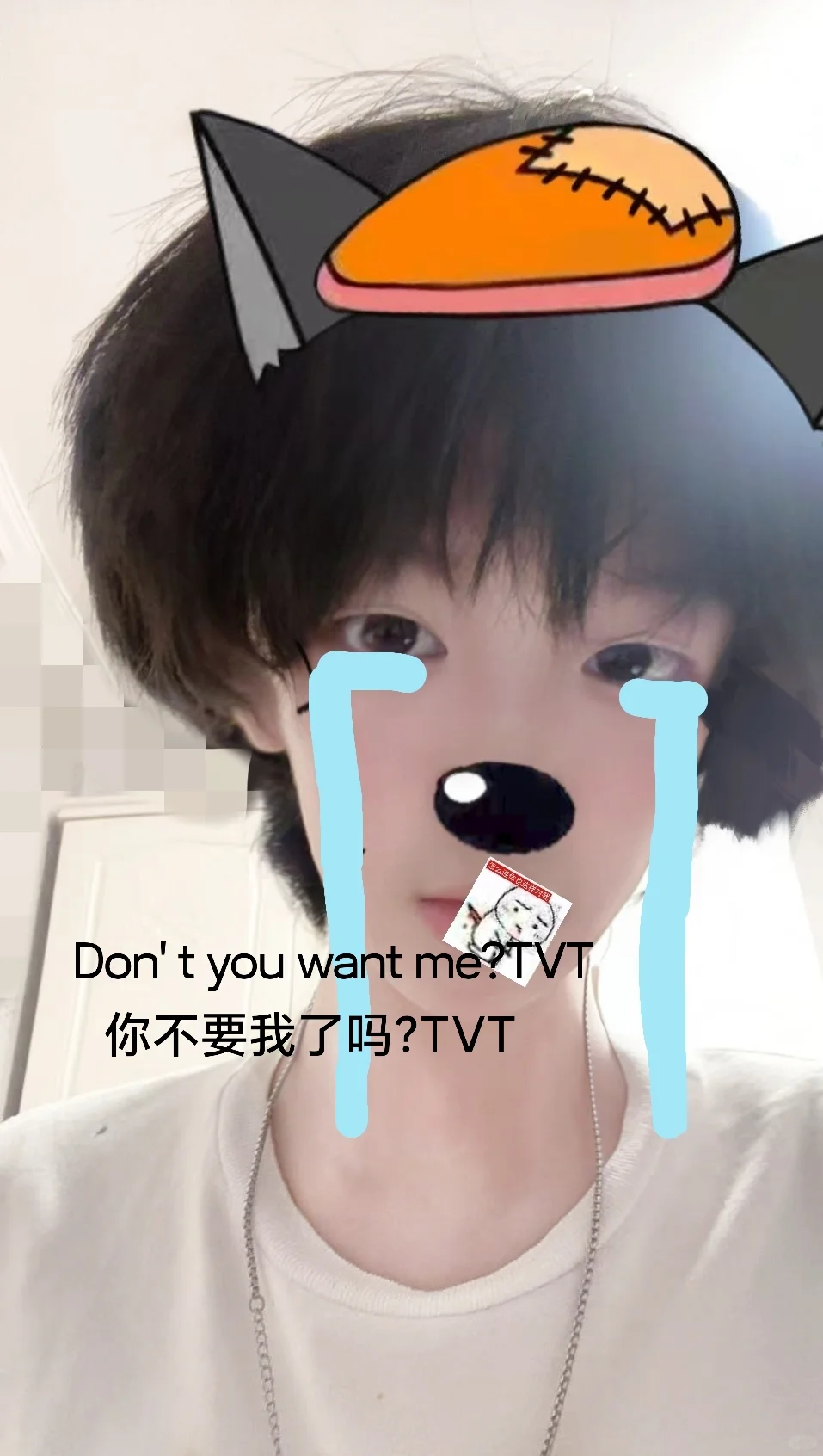 你不要我了吗？TVT