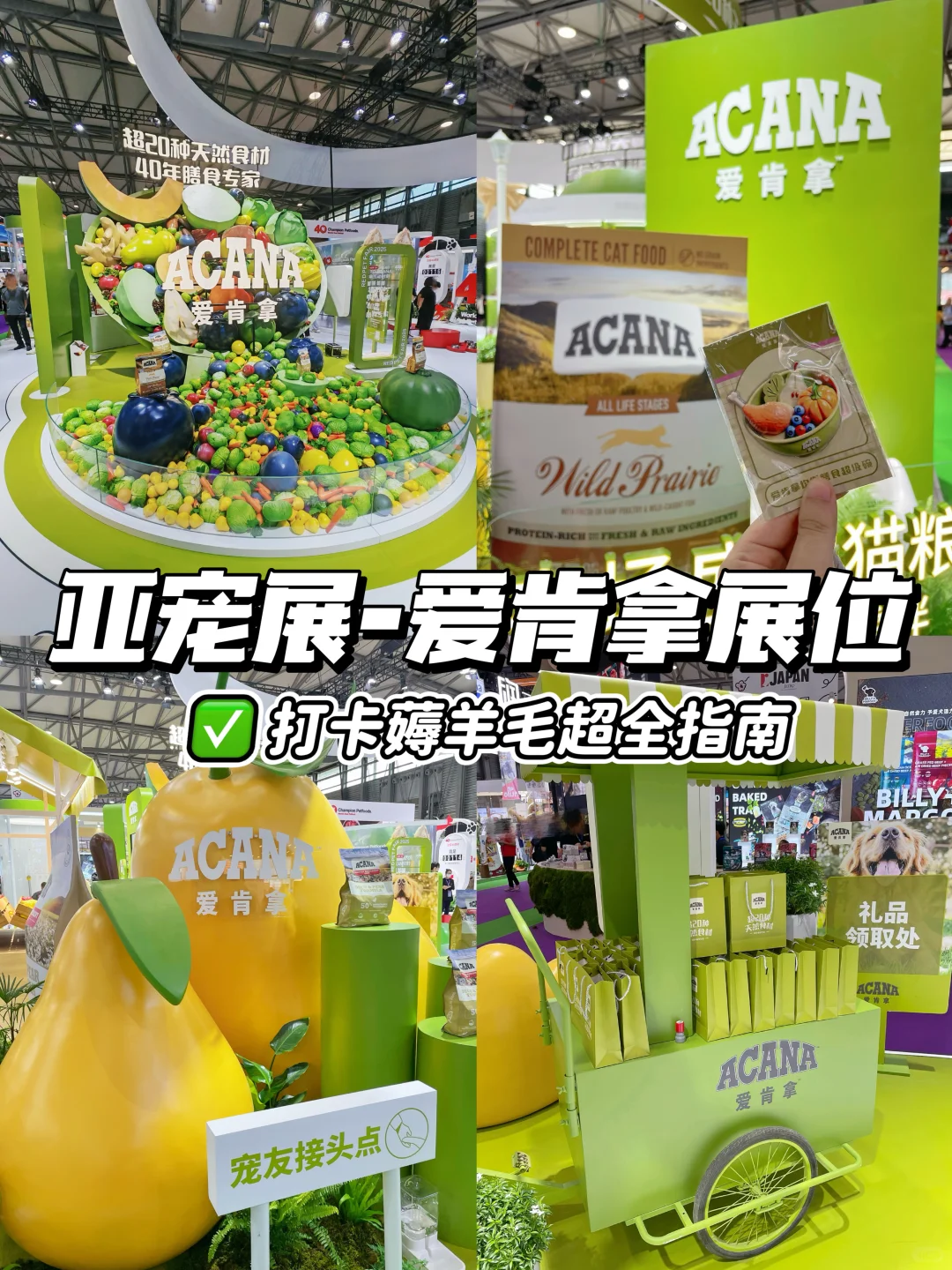 亚宠展?爱肯拿展位｜打卡薅羊毛超全指南