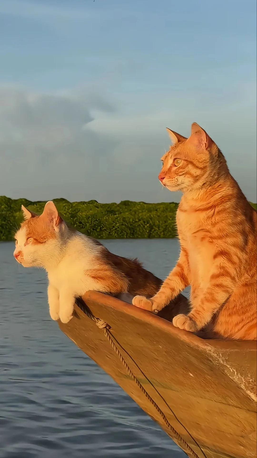 上海新国际博览中心日结兼职