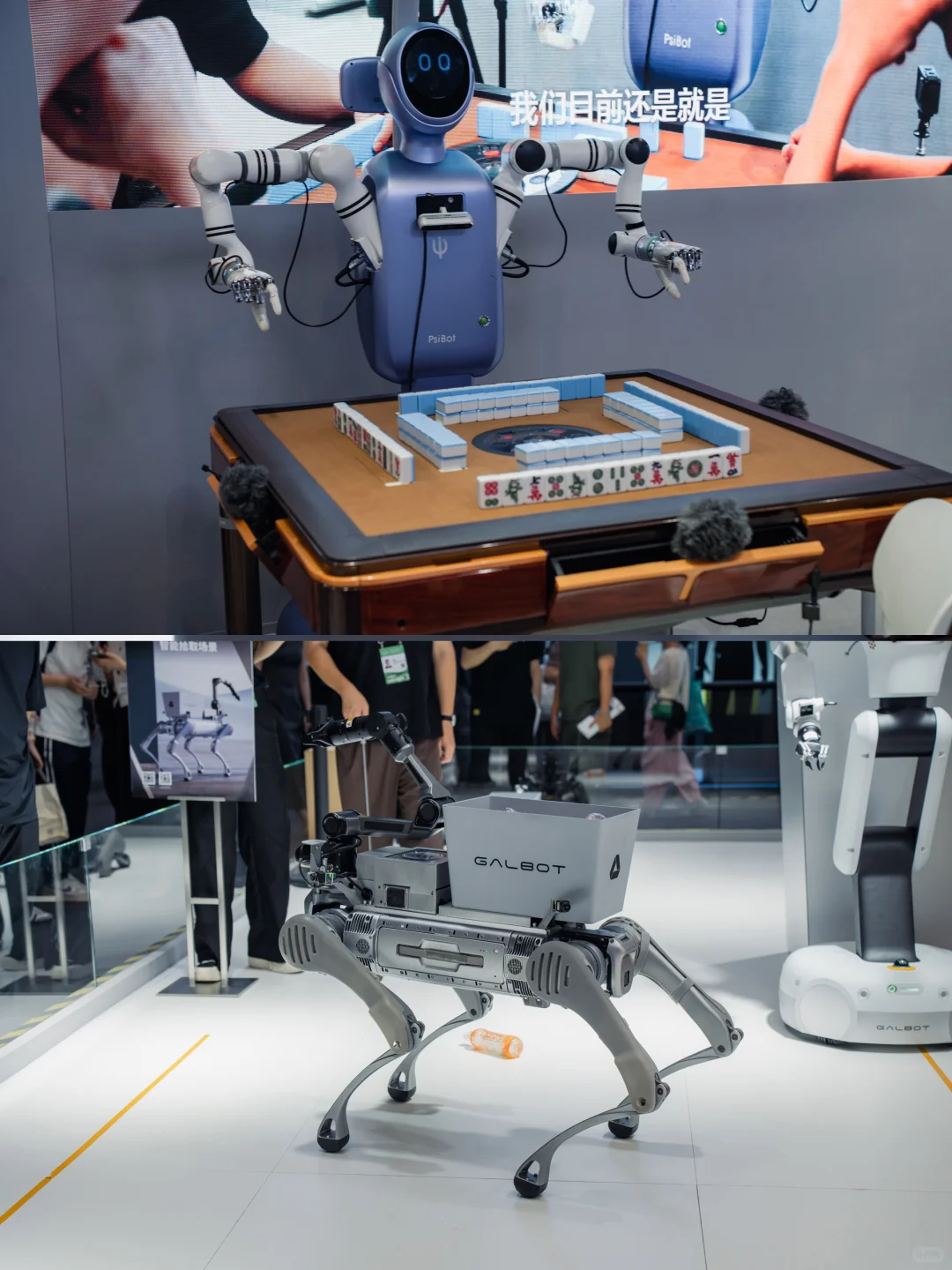 2025世界人工智能大会