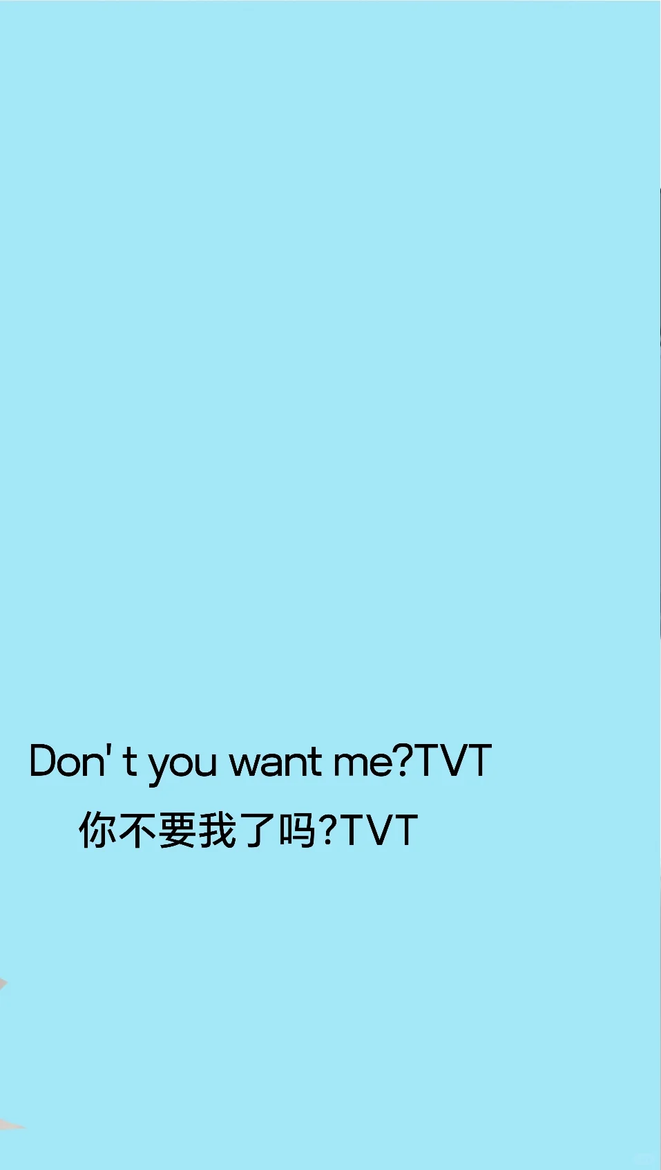 你不要我了吗？TVT