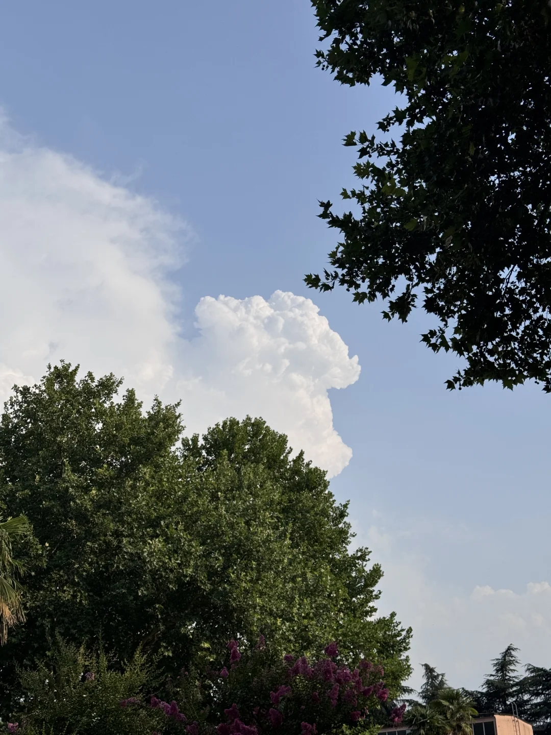 Lululemon 新款连体衣 太显身材喽?