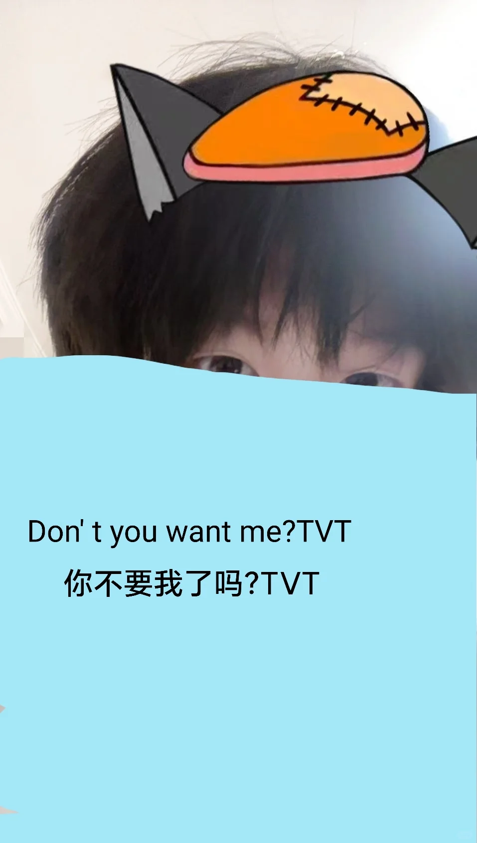 你不要我了吗？TVT