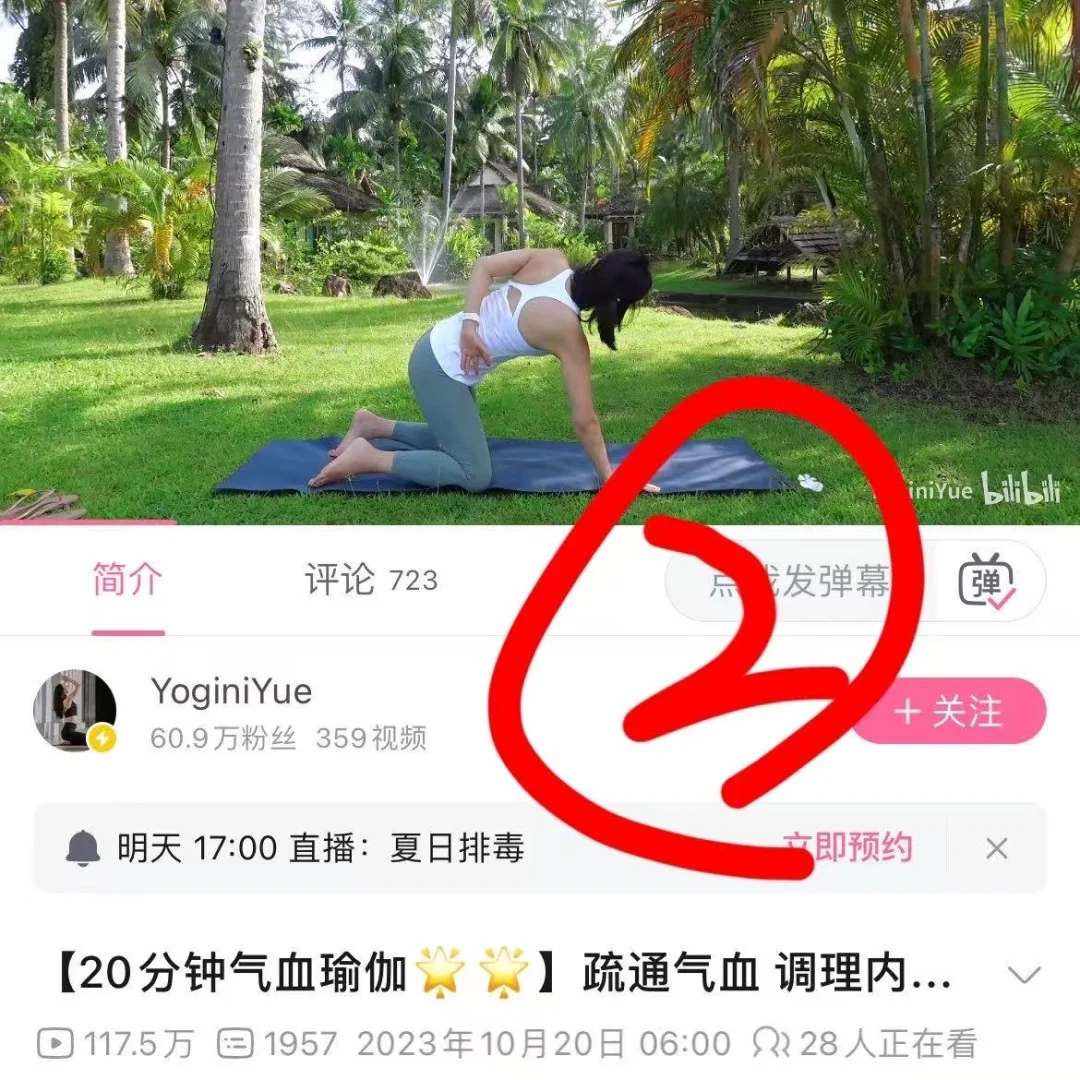 老娘认为目前对胰岛素抵抗最吊的运动