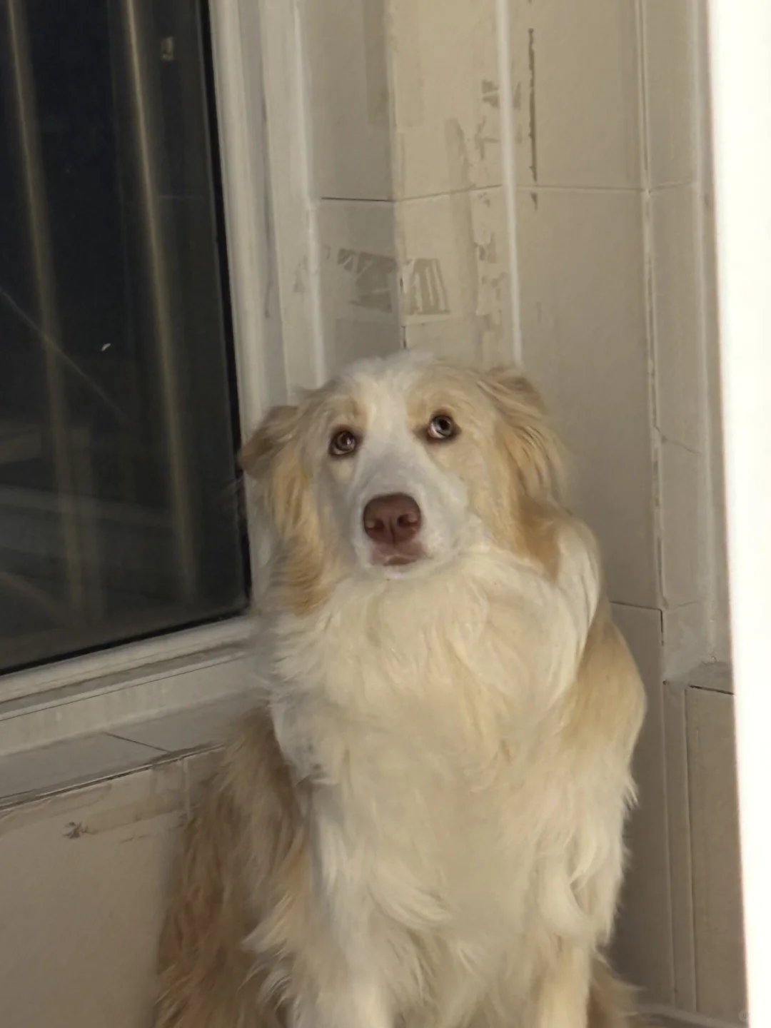 咋的！咋的！你能把我咋的！！我就不服！！