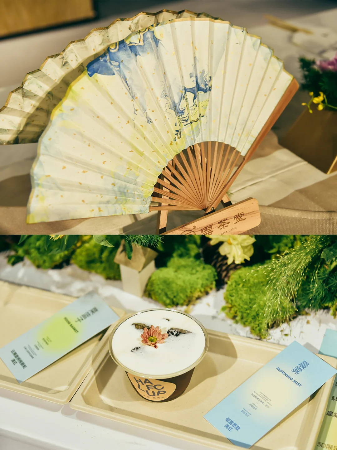 限时领票！来喝茶，上海茶产业博览会开始啦