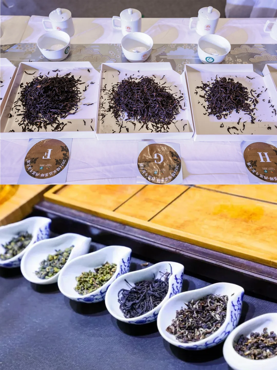 限时领票！来喝茶，上海茶产业博览会开始啦