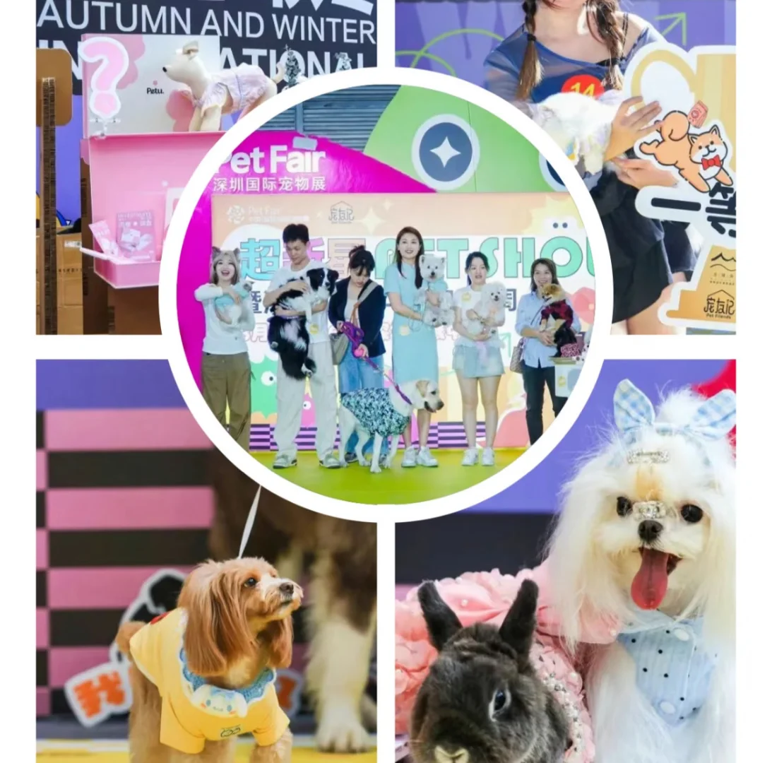 杭州宠物潮流展早鸟票开售啦‼️