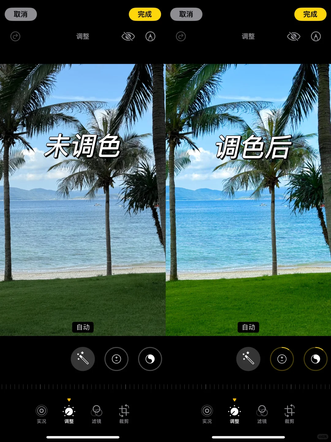 一学就会！海边万能调色公式！阳光清透果冻海