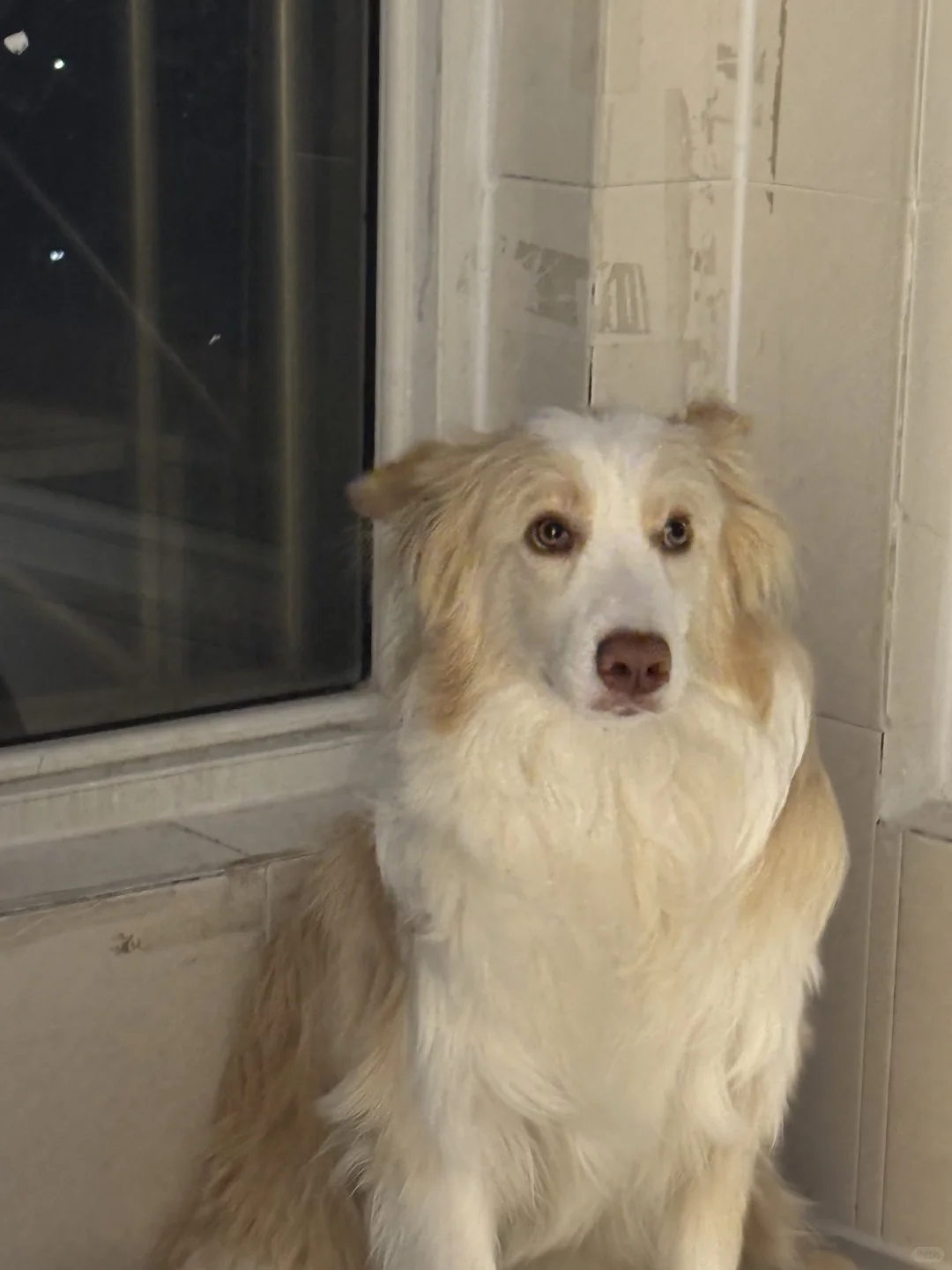 咋的！咋的！你能把我咋的！！我就不服！！