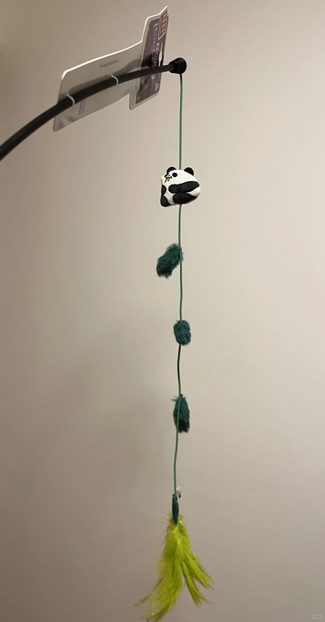 第一次参加亚宠展有感