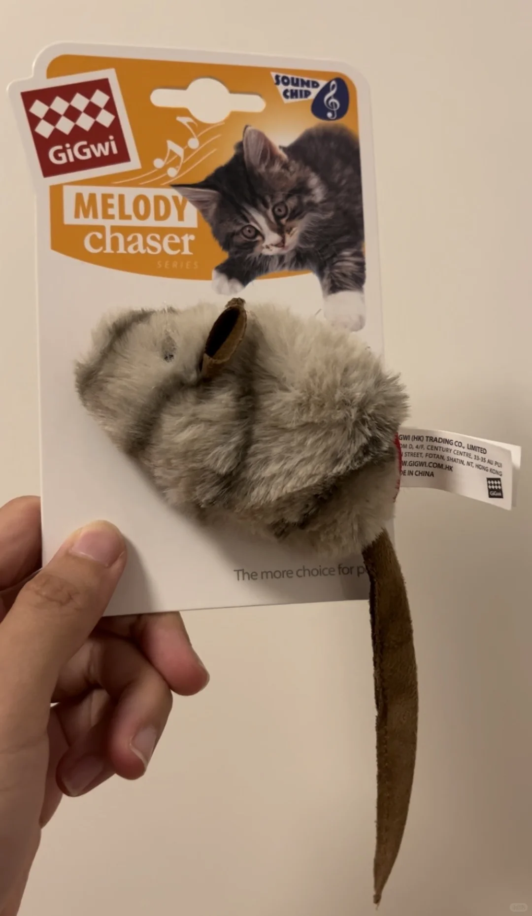 第一次参加亚宠展有感