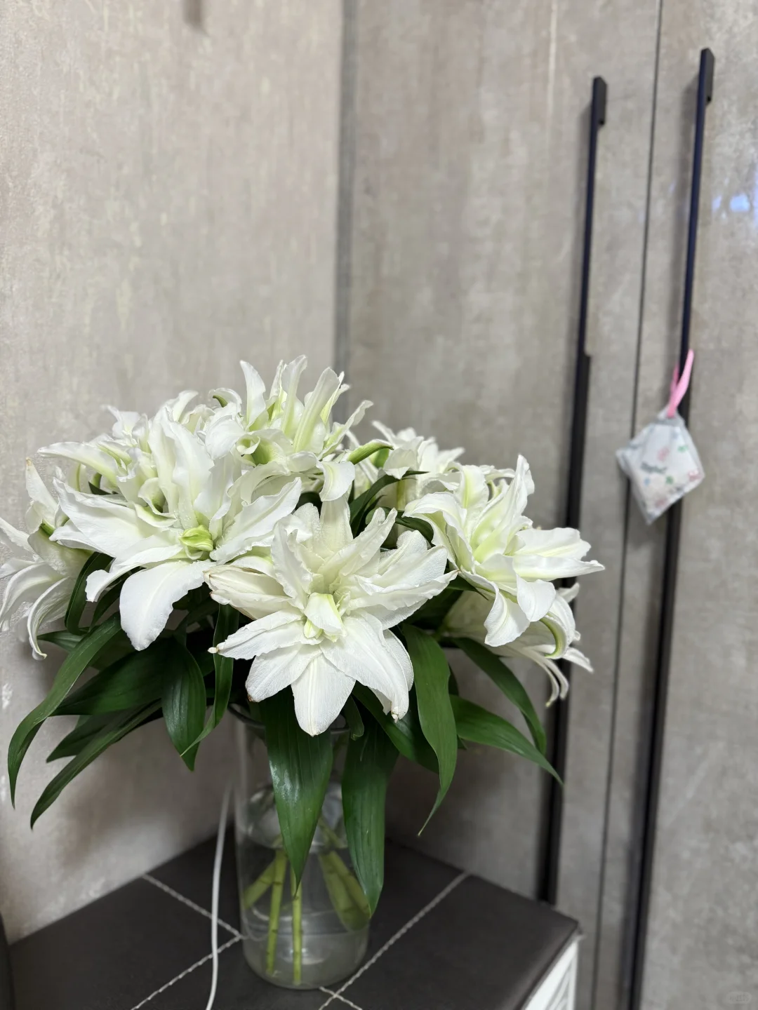 用生活治愈着生活?