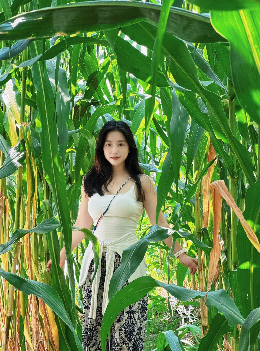 走进庄稼地感受大自然