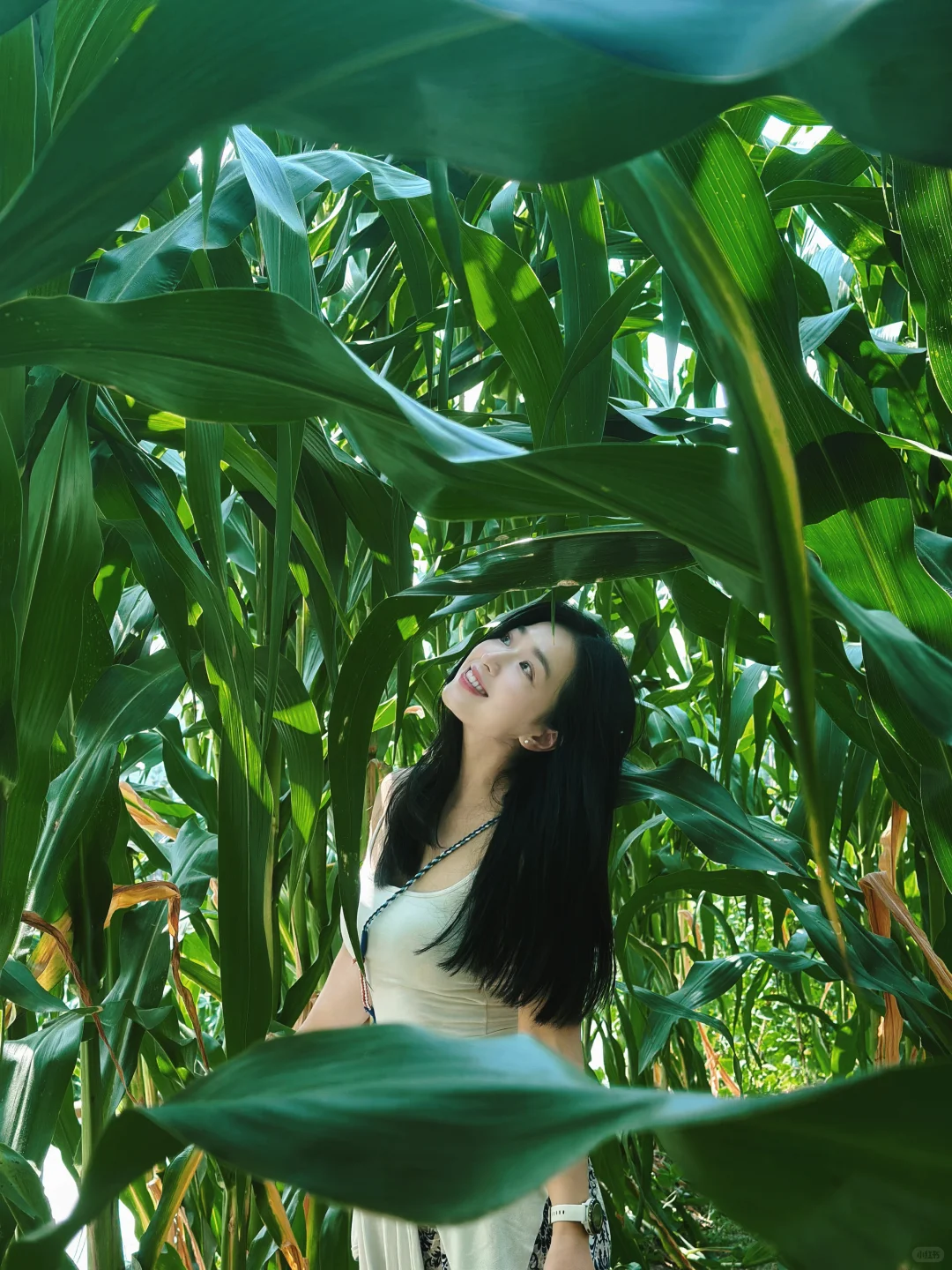 走进庄稼地感受大自然