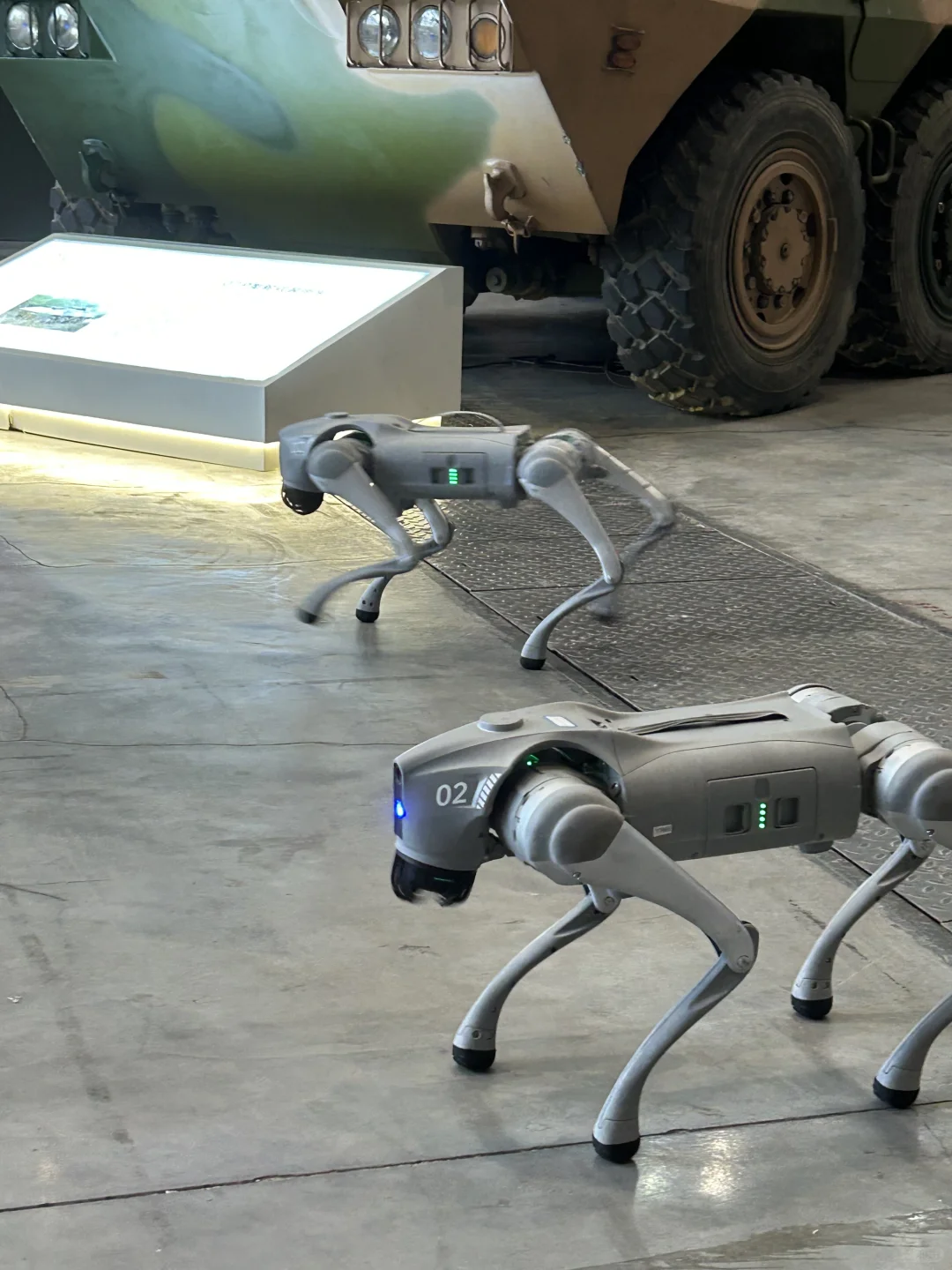 不敢相信！居然能摸！