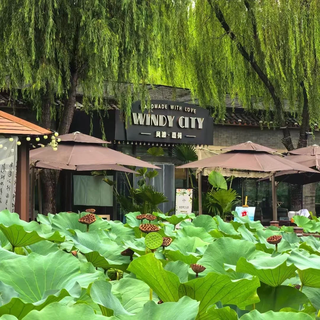 初秋的第一杯下午茶