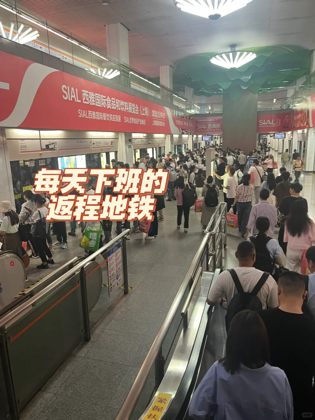 四天展会助理体验卡