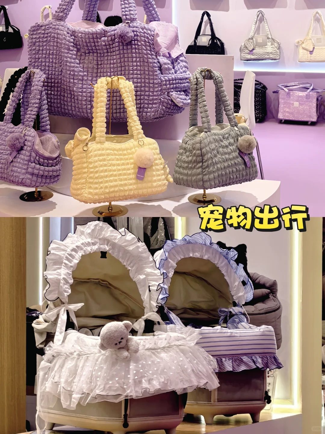 上海展会｜亚宠展2025