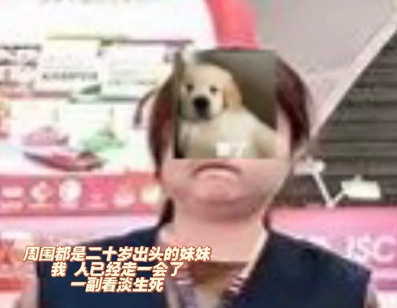 四天展会助理体验卡