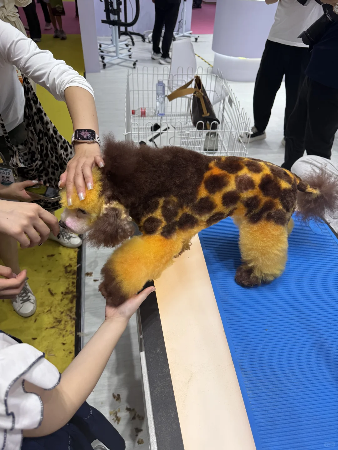 记最扯淡的一次出展记录5