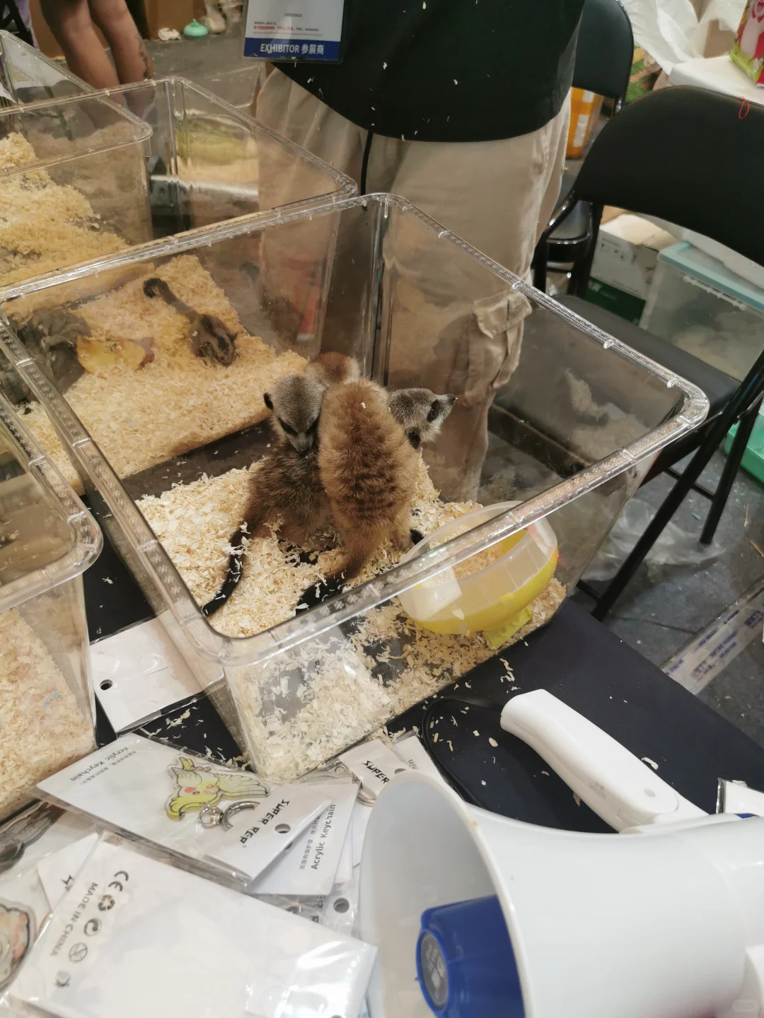 亚宠展不错，明年不来了