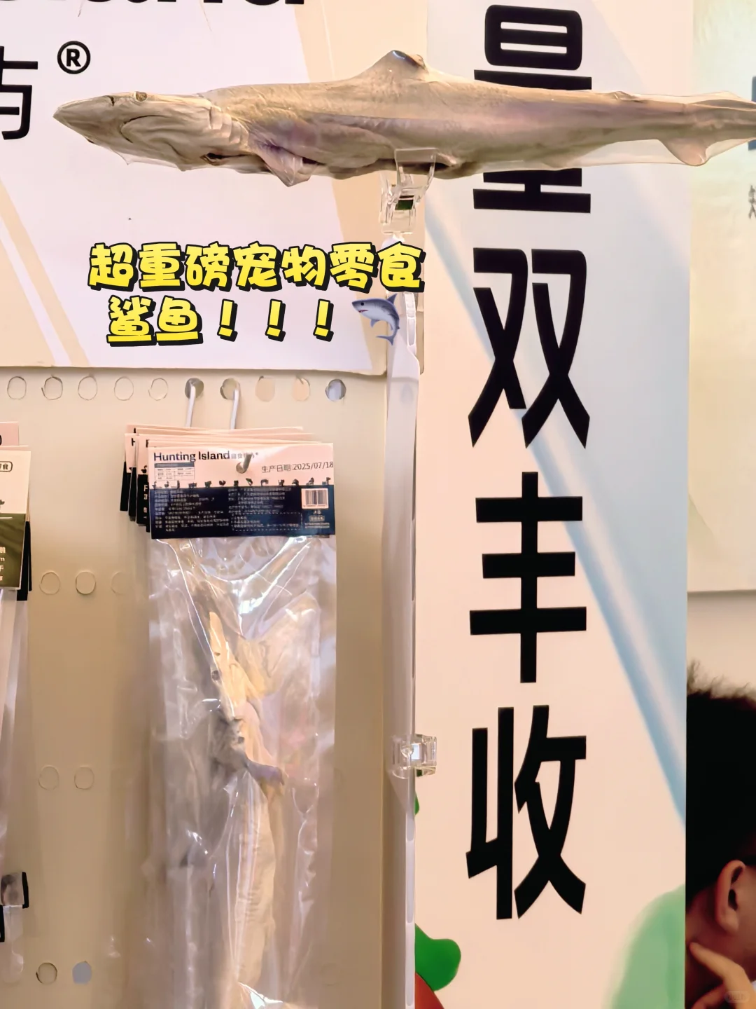 上海展会｜亚宠展2025