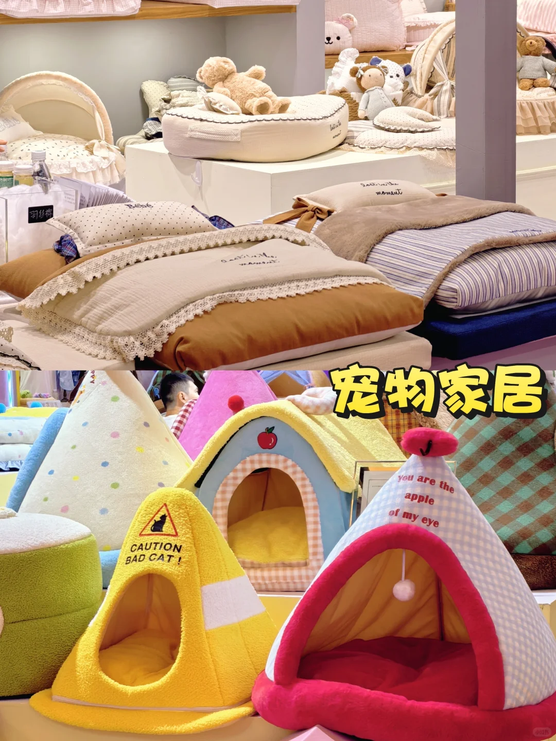 上海展会｜亚宠展2025